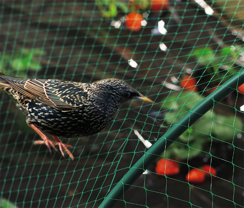 Anti-bird net, plastyc mesh, Lindude tõrjevõrk, fagelnät, lintuverkko, защитная сетка от птиц